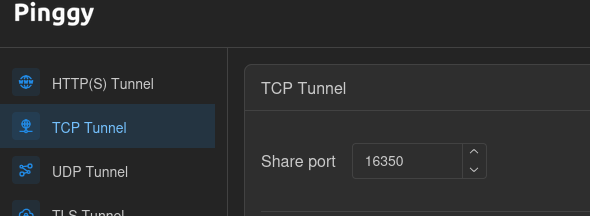 Pinggy tcp setup