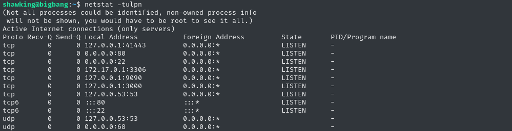 netstat
