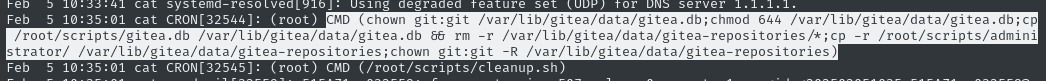 gitea cleanup script