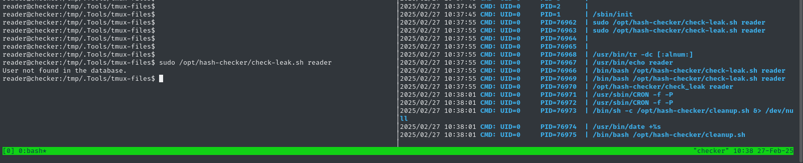 tmux sudo script pspy