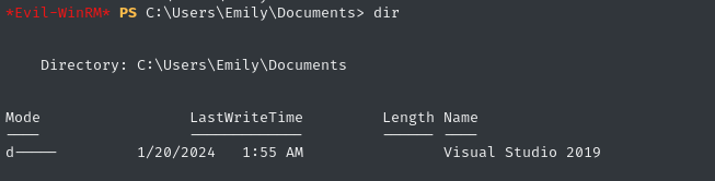 visual studio in Documents