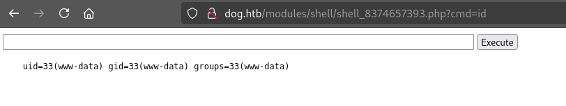 Module installation RCE 5