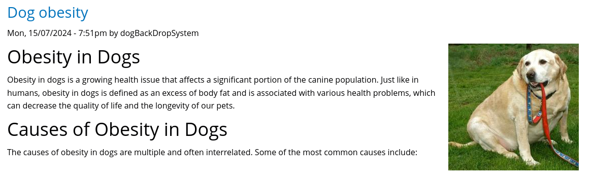 article with username on it