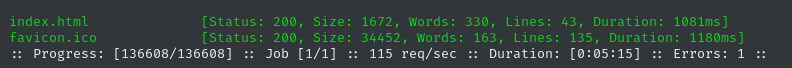 directory enum 1