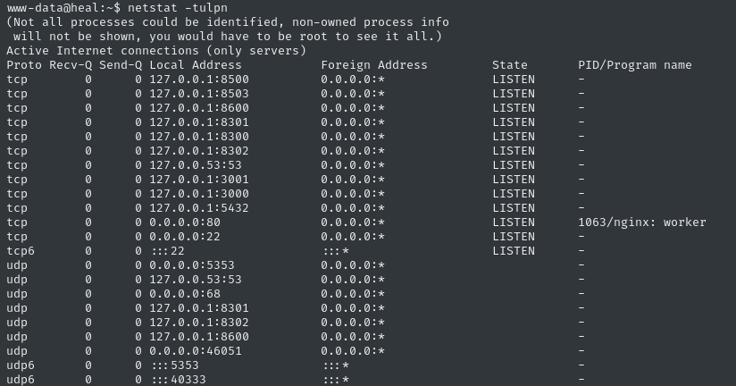 netstat