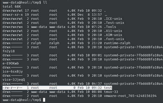 root exploit test