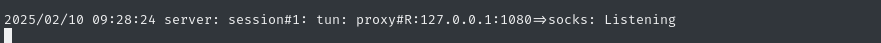 socks  proxy open