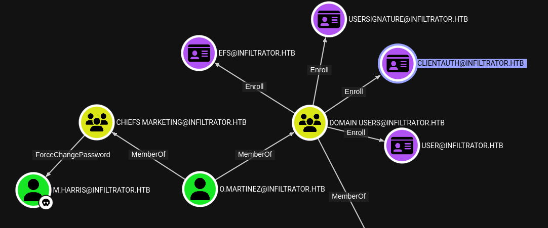 bloodhound o.martinez