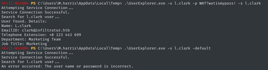 testing flawed program on target host