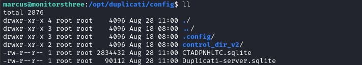 duplicati configs