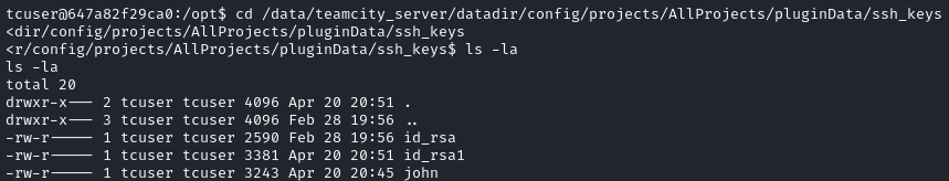 teamcity found ssh private keys