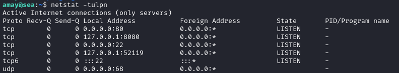 netstat