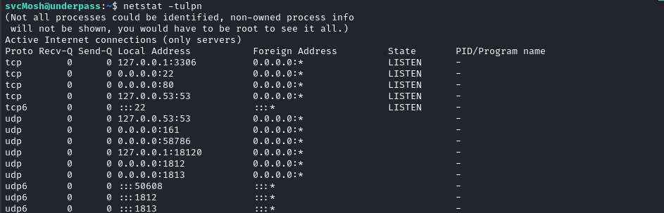 local enum netstat