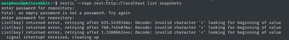 error accessing restic