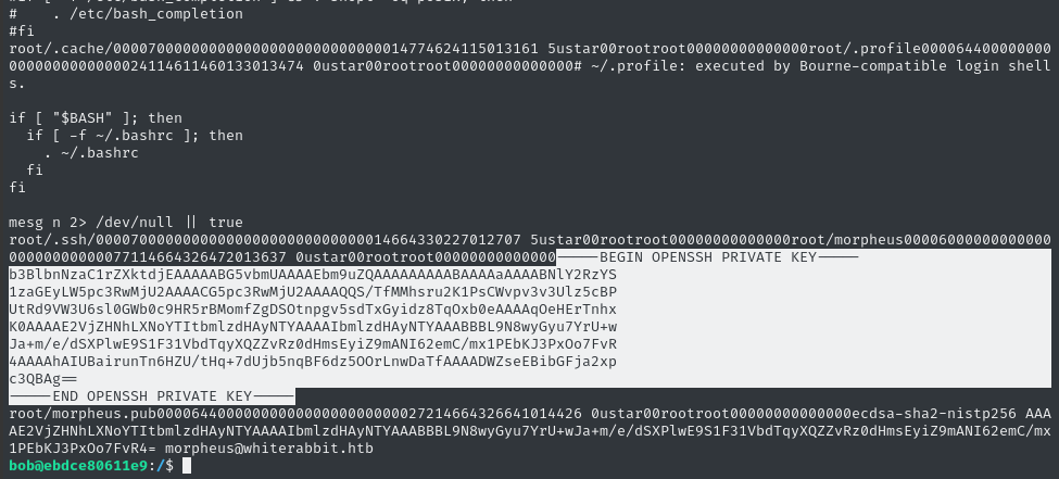 restic dumped root key inside
